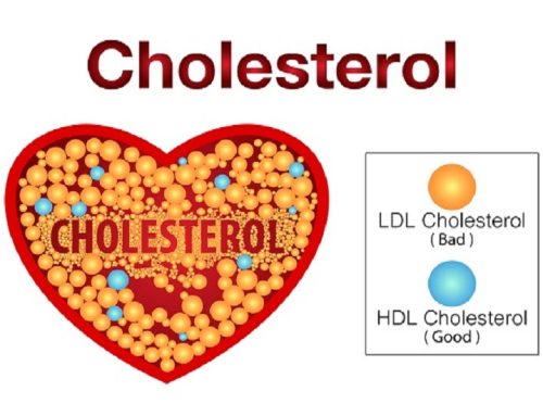Miti i Madh i Kolesterolit dhe Shkenca e Re e Sëmundjes së Zemrës
