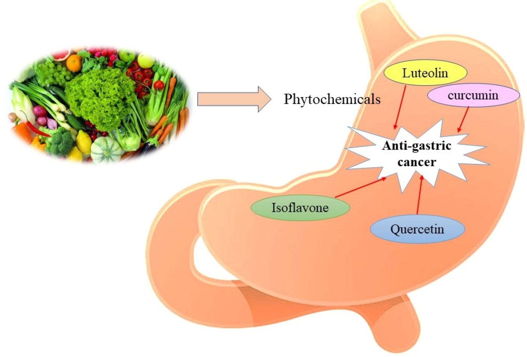 stomach_cancer