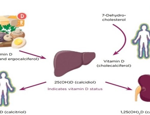 Nivelet e ulëta të vitaminës D lidhen me funksionimin e dobët të mëlçisë dhe veshkave