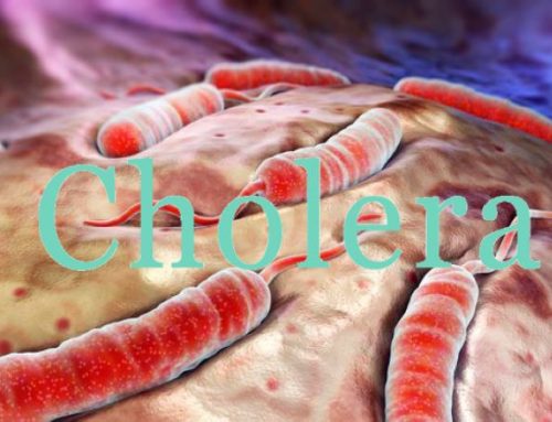 Kolera; Shkaqet, Simptomat, Parandalimi dhe 8 mjekime natyrale