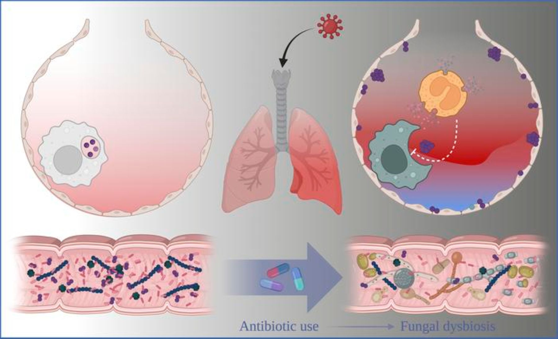 antibiotic-dangers