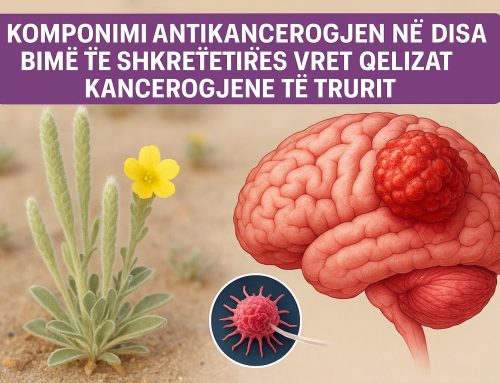 Komponimi antikancerogjen në disa bimë të shkretëtirës vret qelizat kancerogjene të Trurit