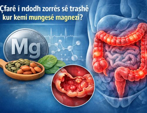 Çfarë i ndodh zorrës së trashë kur kemi mungesë magnezi?