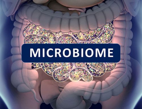 Çrregullimi i baktereve të zorrëve lidhet me rrezikun e kancerit të zorrës së trashë