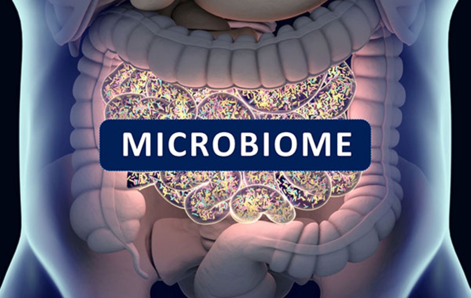 Gut-bacteria-gut-flora-microbiome