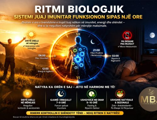 Ritmi Biologjik: Sistemi Imunitar funksionon sipas një orari të përpiktë