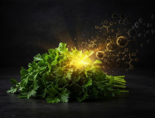 Majdanozi: Aleati i fuqishëm natyror në luftën kundër kancerit dhe sëmundjeve kronike